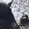 rabidsquirrel06